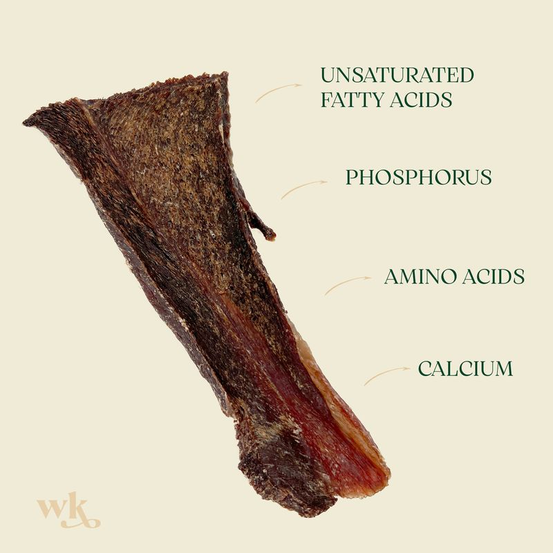 Wildkind Dog Treat Western Desert Camel Jerky 100g