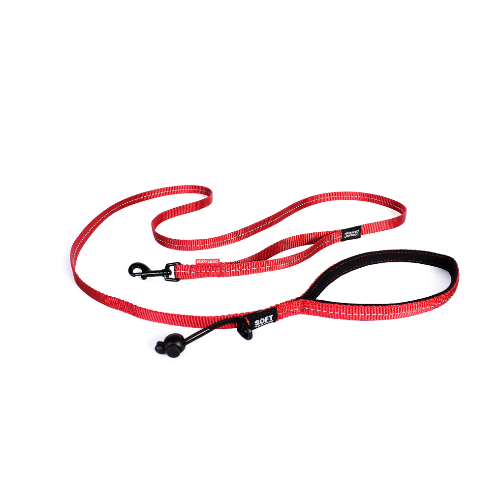Ezydog Lead Trainer 12