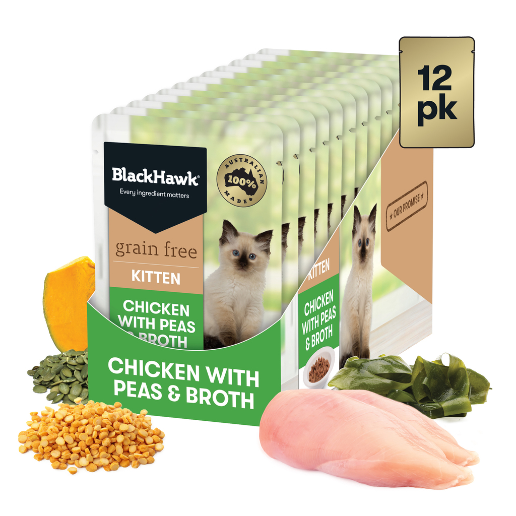 Black Hawk Cat Wet Kitten Chick/Peas/Broth