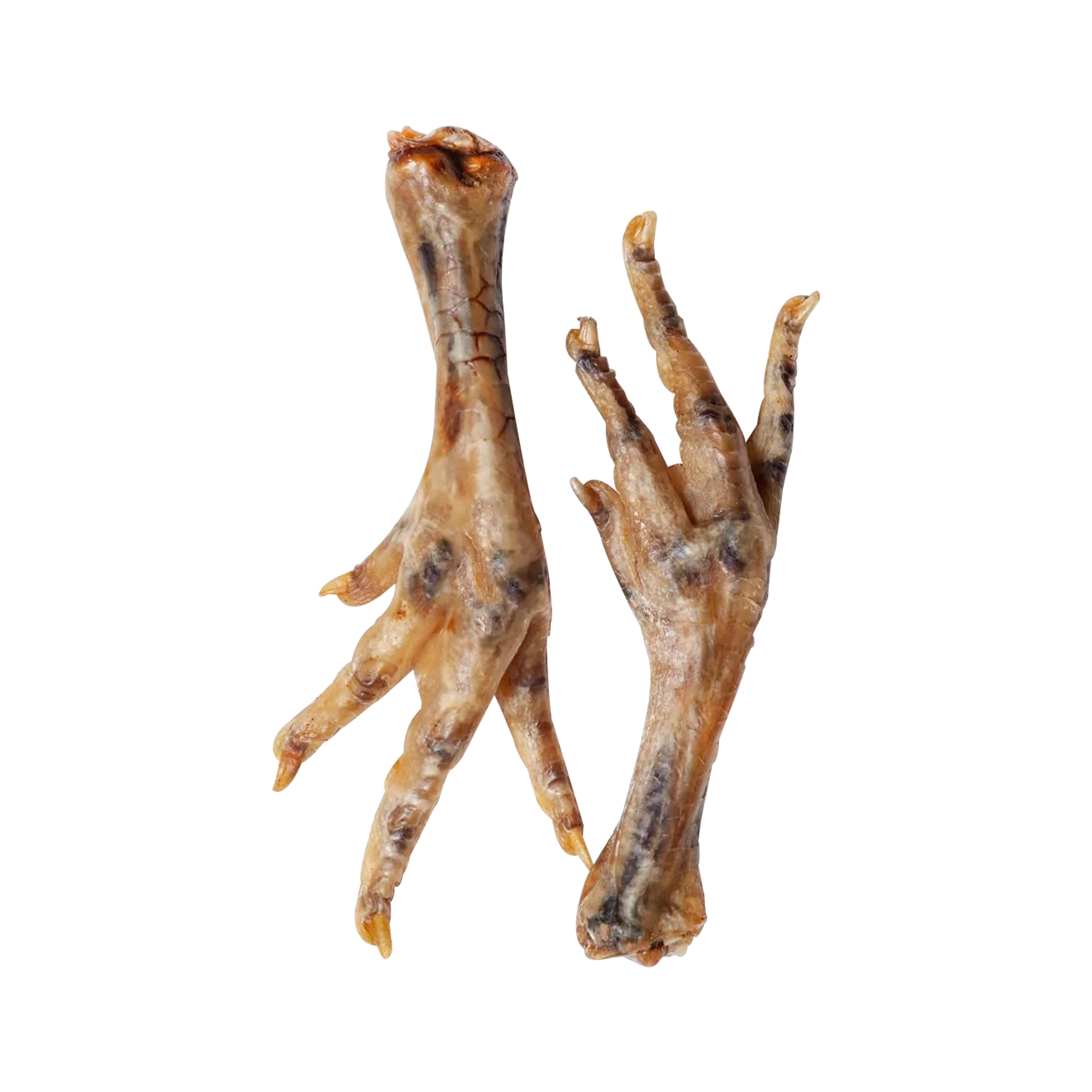 Chicken Feet Single