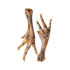 Chicken Feet Single