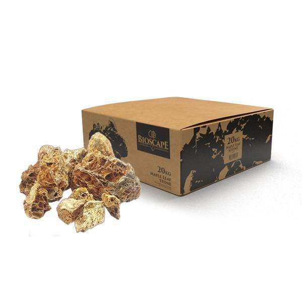 Maple Leaf Stone