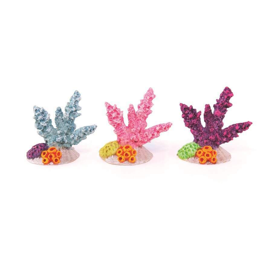 Coral With Shell Assorted Mini