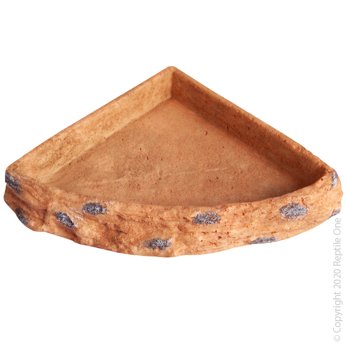 Reptile Corner Bowl Large