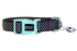 Doog Collar Pongo