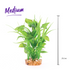Combination Plant Thin Leaf With Spot