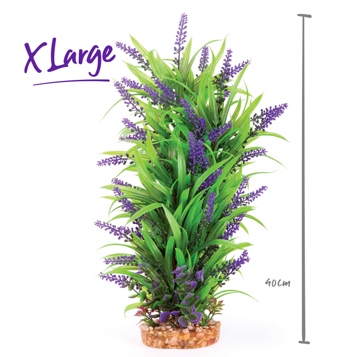 Combination Plant Thin Leaf With Purple Flower