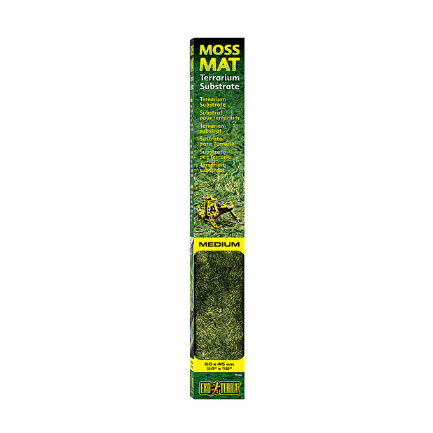 Forest Mat Medium