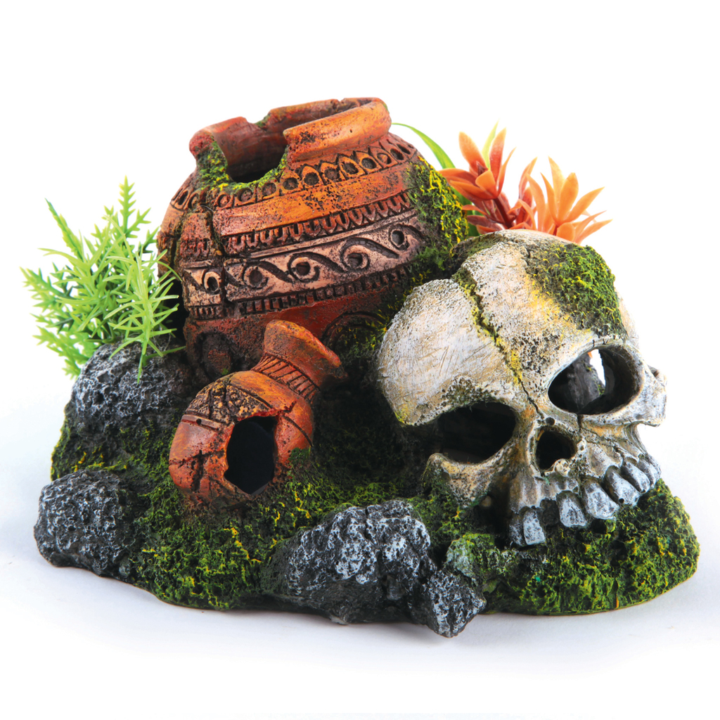 Skull With Plants And Air Small