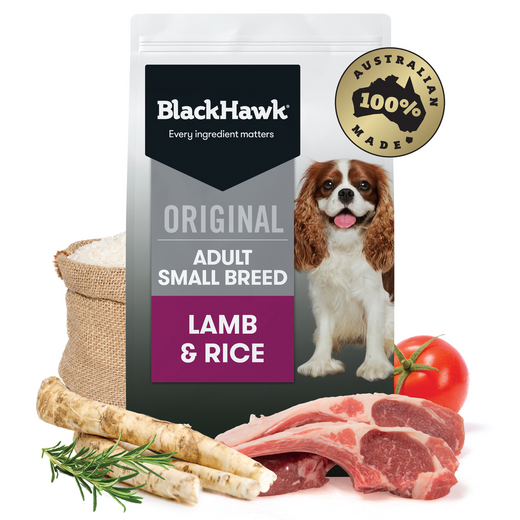 Black Hawk Dog Dry Small Breed Lamb