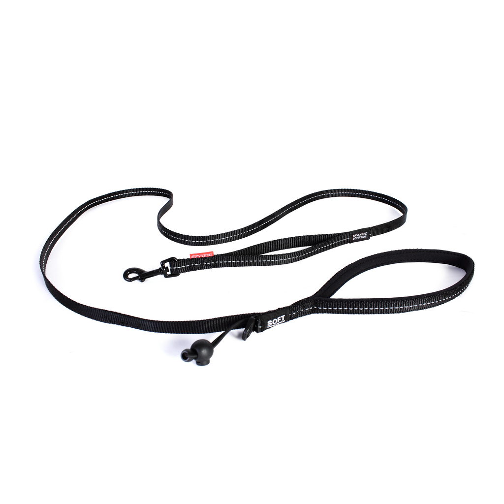Ezydog Lead Trainer 12