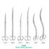 Chihiros Straight Scissors 21cm