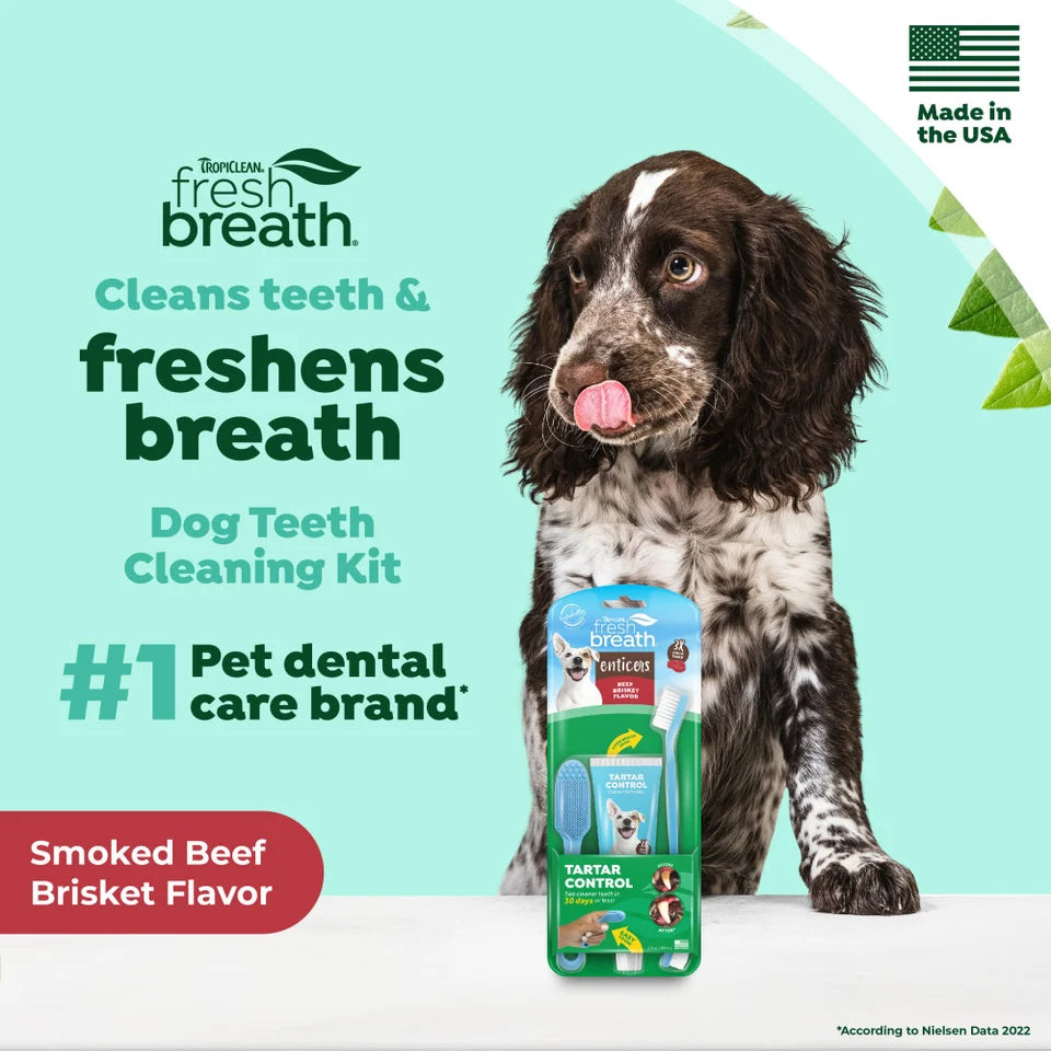 Tropiclean Fresh Breath Enticers Smoked Beef Brisket Oral Care Kit