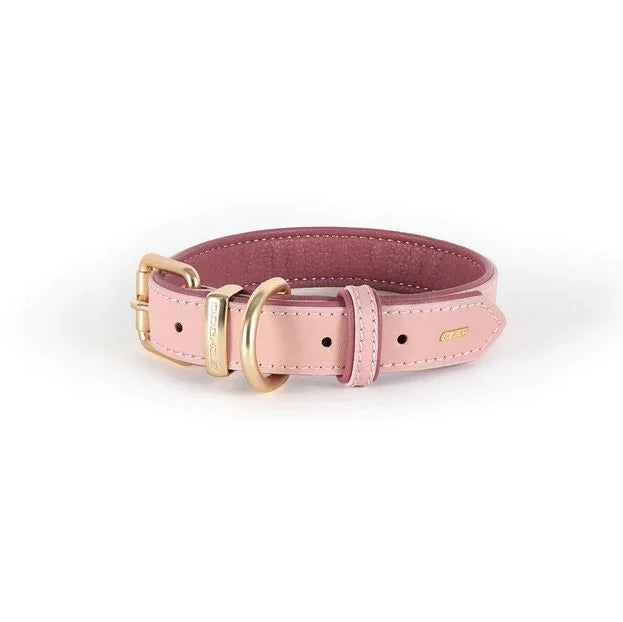 EzyDog Collar Oxford Xl Pink