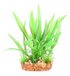 Combination Bush Green With Thin Leaf