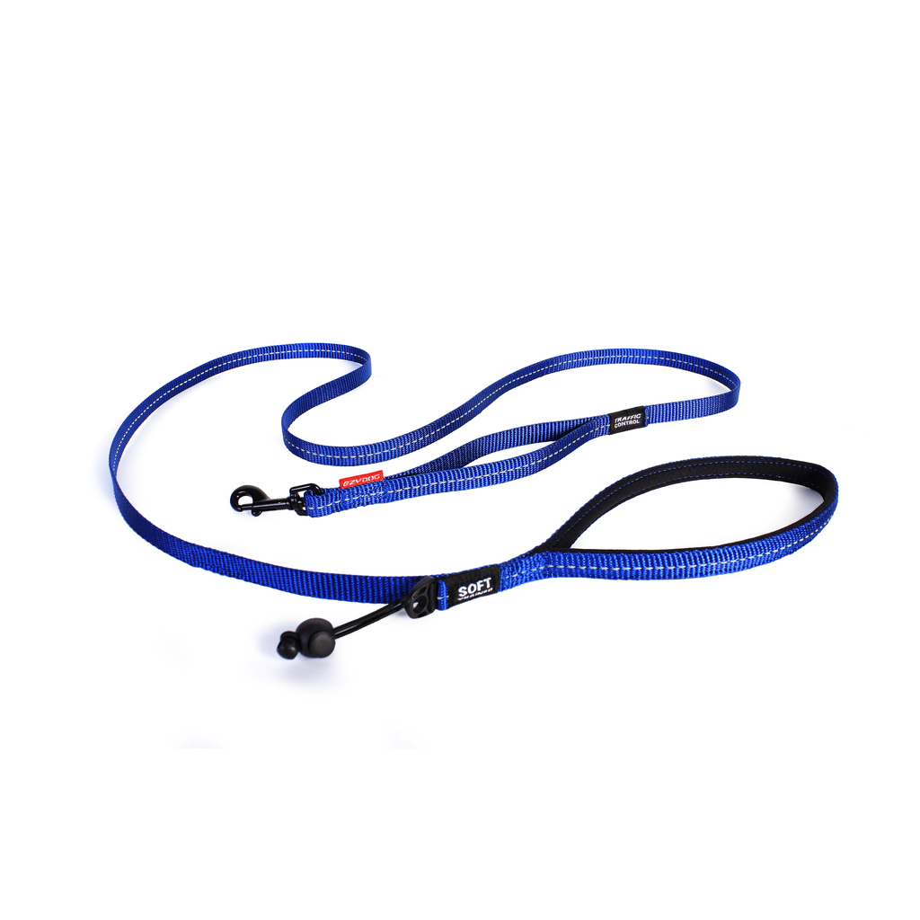 Ezydog Lead Trainer 12