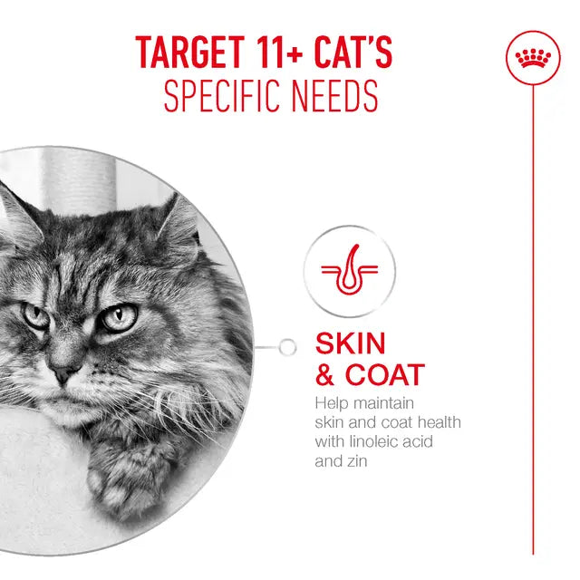 Royal Canin Cat Wet Ageing 11+ Gravy Adult