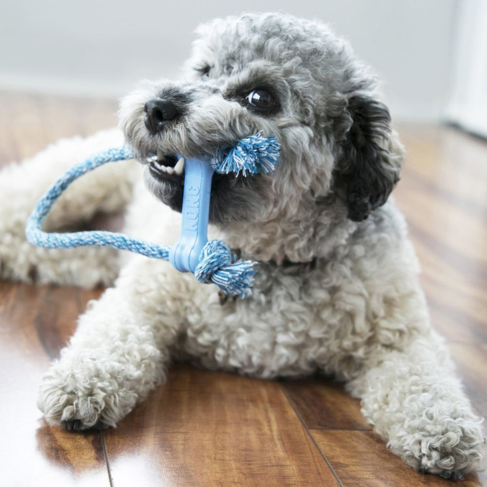 Kong Toy Puppy Bone With Rope