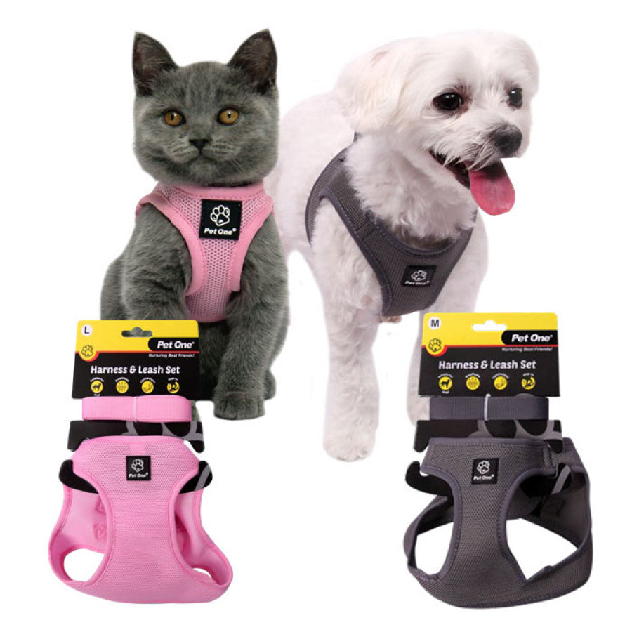 Pet One Harness & Leash Set Dog Cat Small Animal