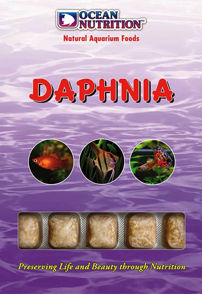 Frozen Food Ocean Nutrition Daphnia 100g