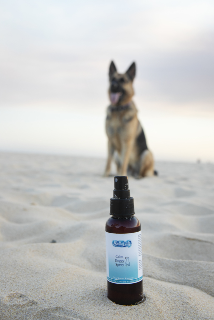 Bella Oils Calm Doggie Spray