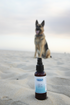 Bella Oils Calm Doggie Spray