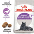 Royal Canin Cat Sterilised Adult 7+ Dry 1.5kg
