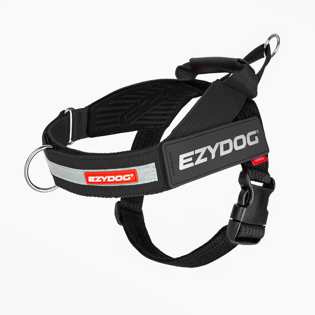 Ed Harness Express