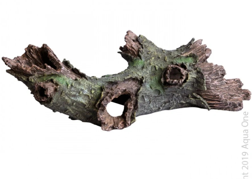Jumbo Hollow Branch 53x23x17.5cmh