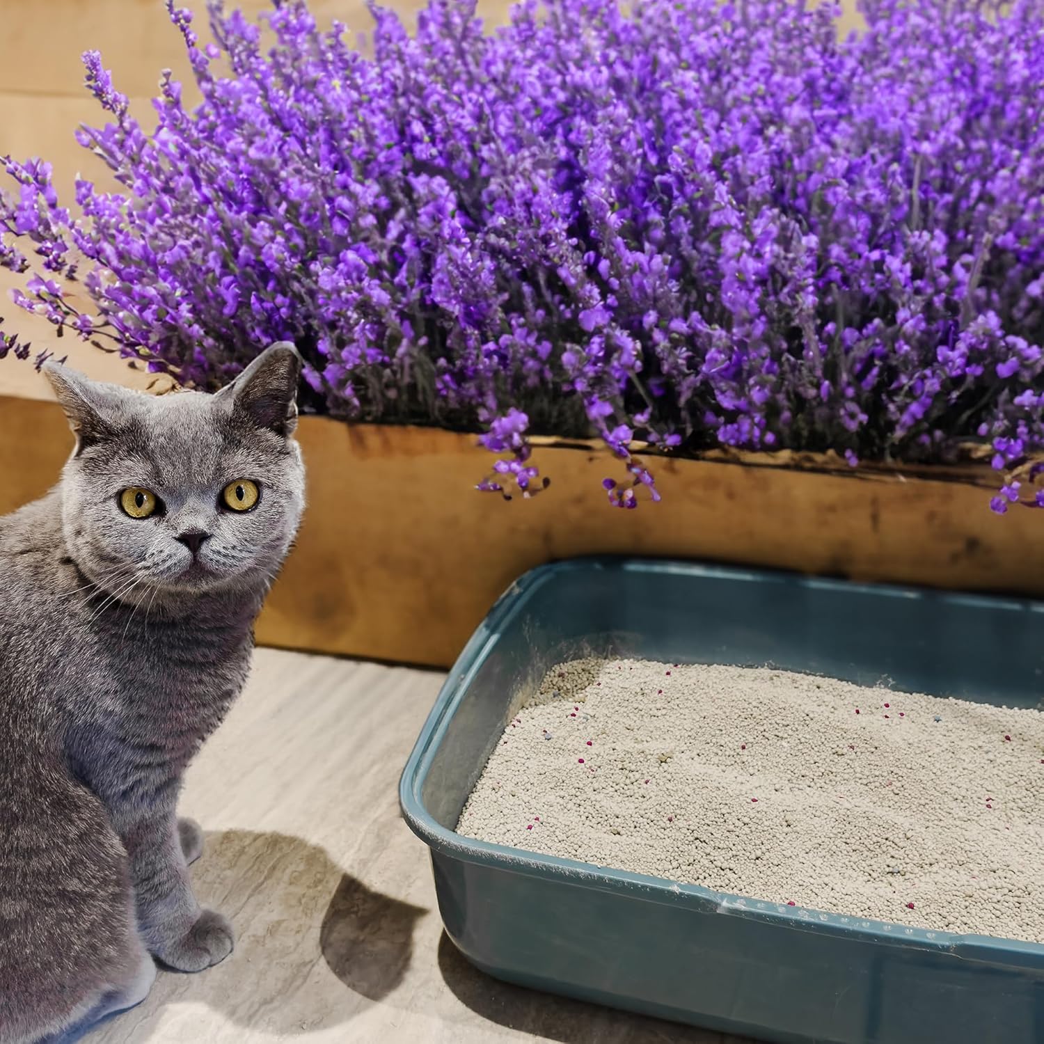 Poowee Clumping Lavender Litter