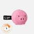 Piggy Treat Puzzle