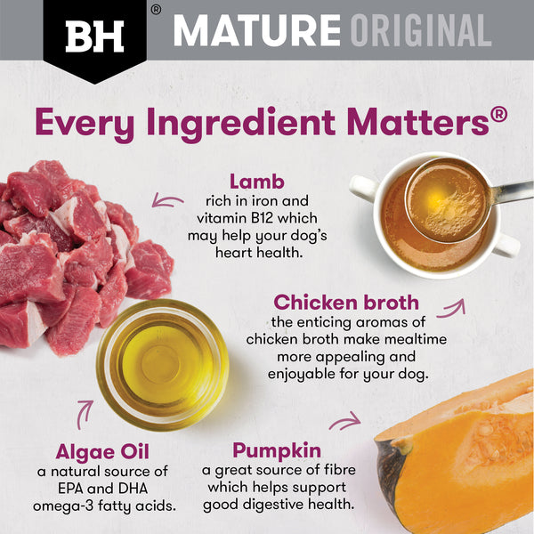 Black Hawk Original Mature Lamb & Vegetables