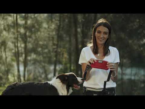 Doog Walk Belt Walkie Belt