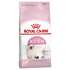 Royal Canin Cat Dry Kitten