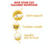 Royal Canin Cat Dry Maine Coon