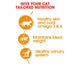 Royal Canin Cat Wet Beauty Jelly