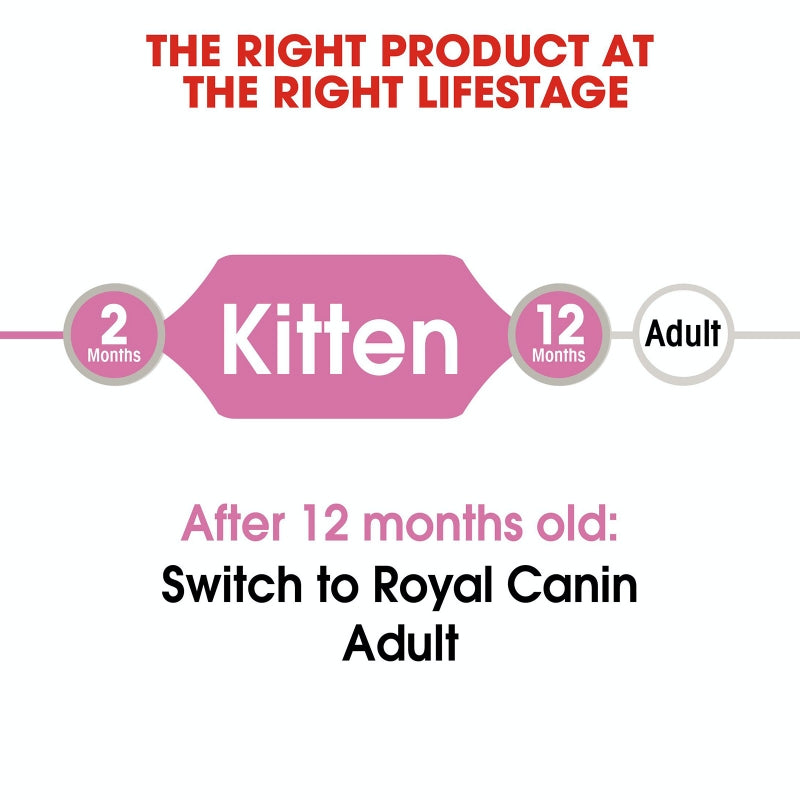 Royal Canin Cat Wet Kitten Jelly