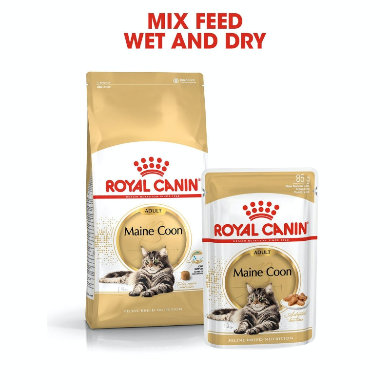 Royal Canin Cat Dry Maine Coon