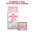 Royal Canin Cat Dry Babycat 2kg