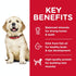 Science Diet Dog Dry Large Breed Puppy 12kg