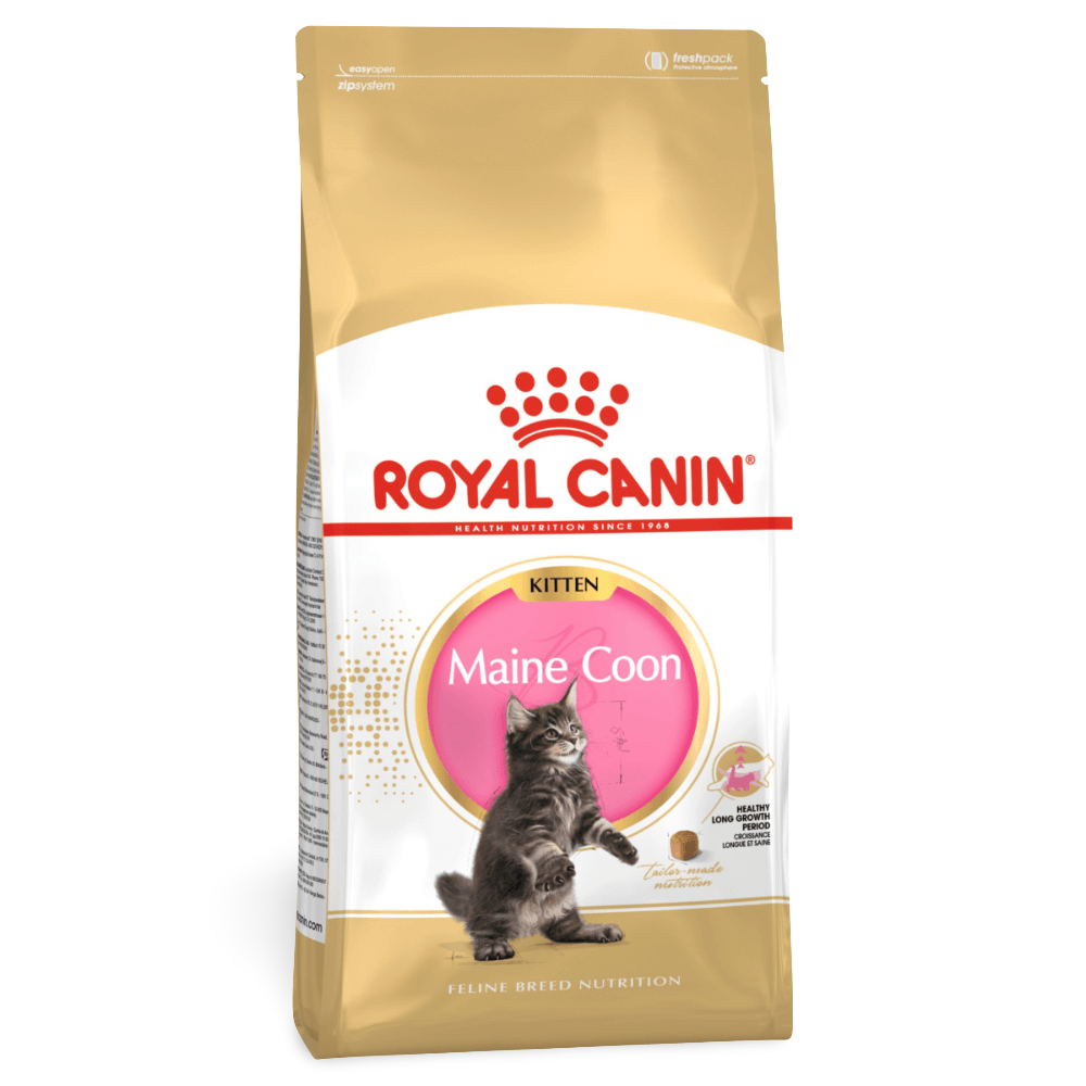 Royal Canine Maine Coon Kitten