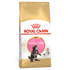 Royal Canin Maine Coon Kitten