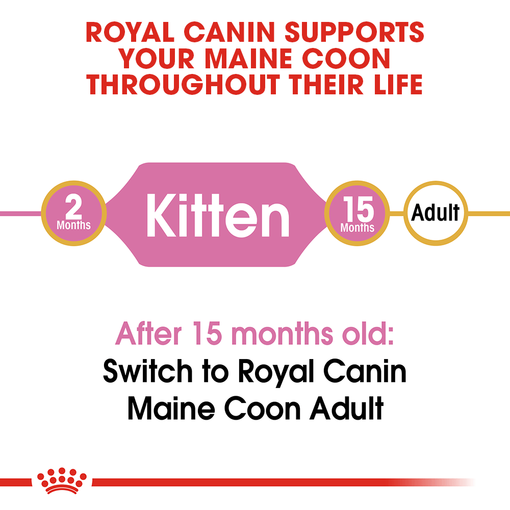 Royal Canine Maine Coon Kitten