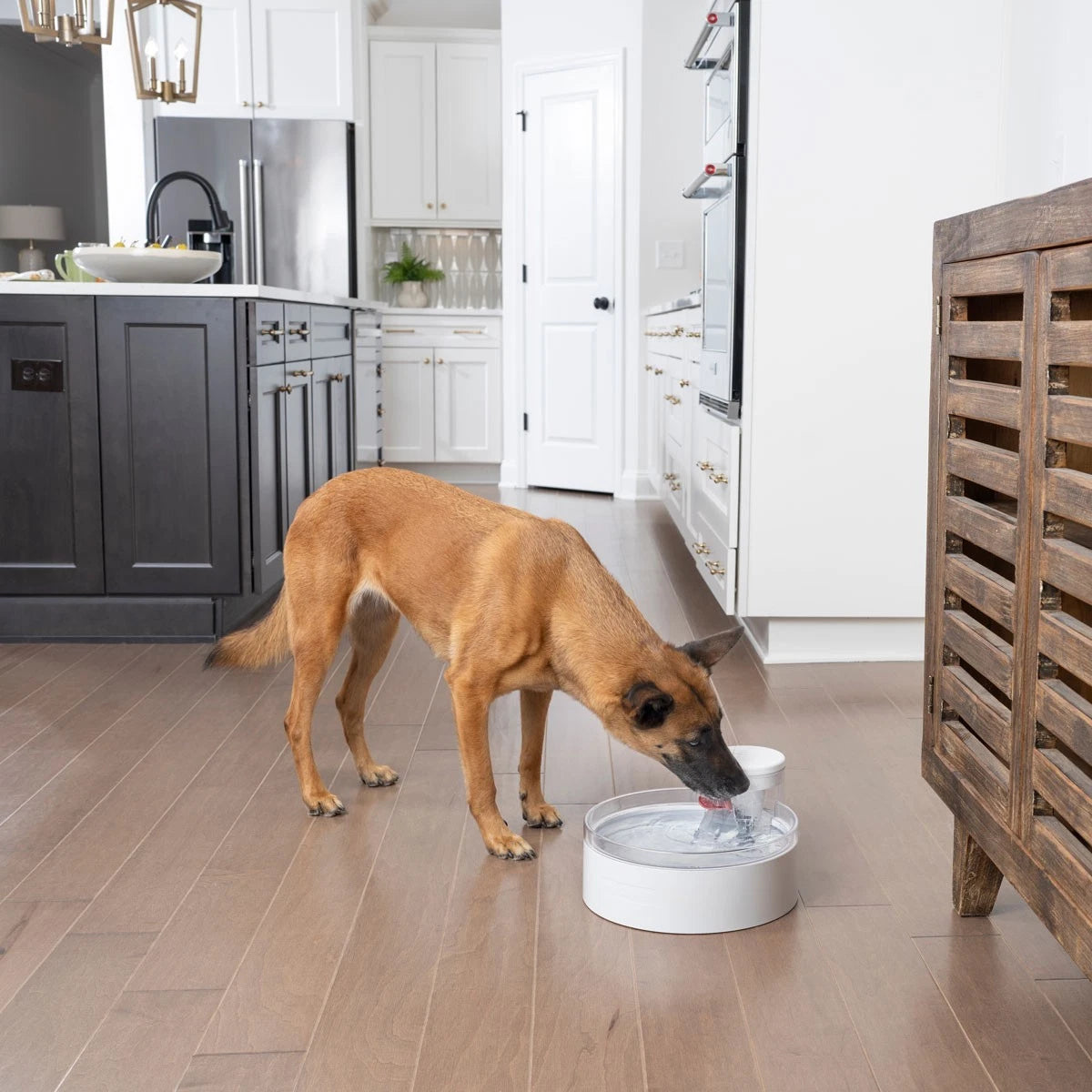 Petsafe Pumpless Outlast Pet Fountain 3.7L