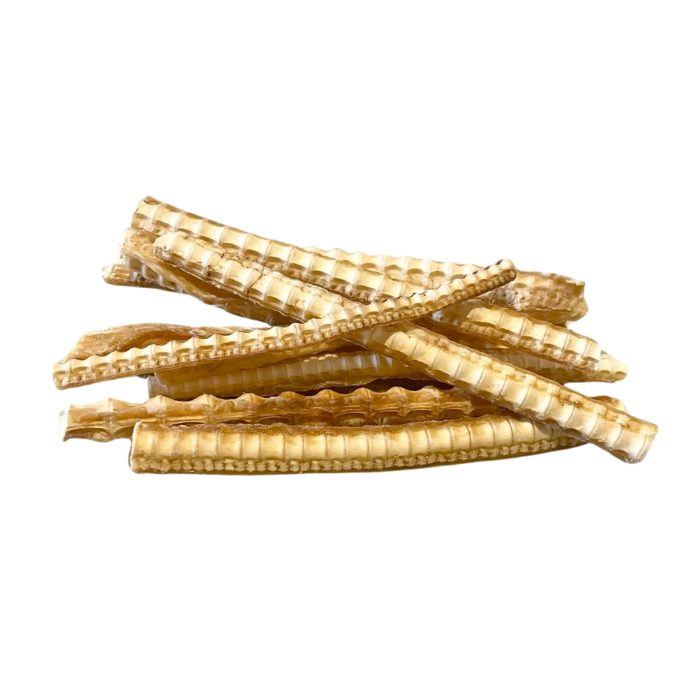 Shark Tail with Cartlidge Single-3pcs
