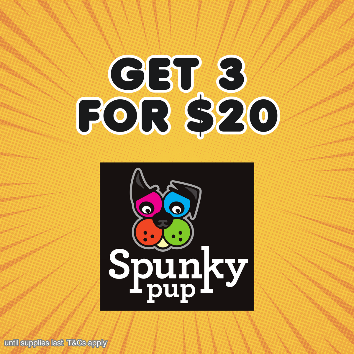 Pet Shop | PETQuarters | Hunter New South Wales | Local Business