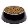 Supercoat Adult Sensitive Fish 2.6Kg