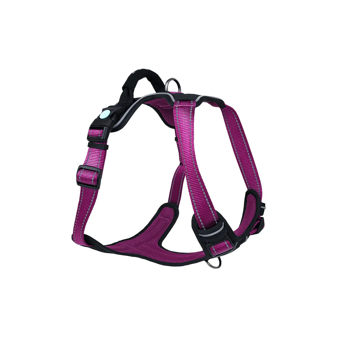 Huskimo Harness Ultimate