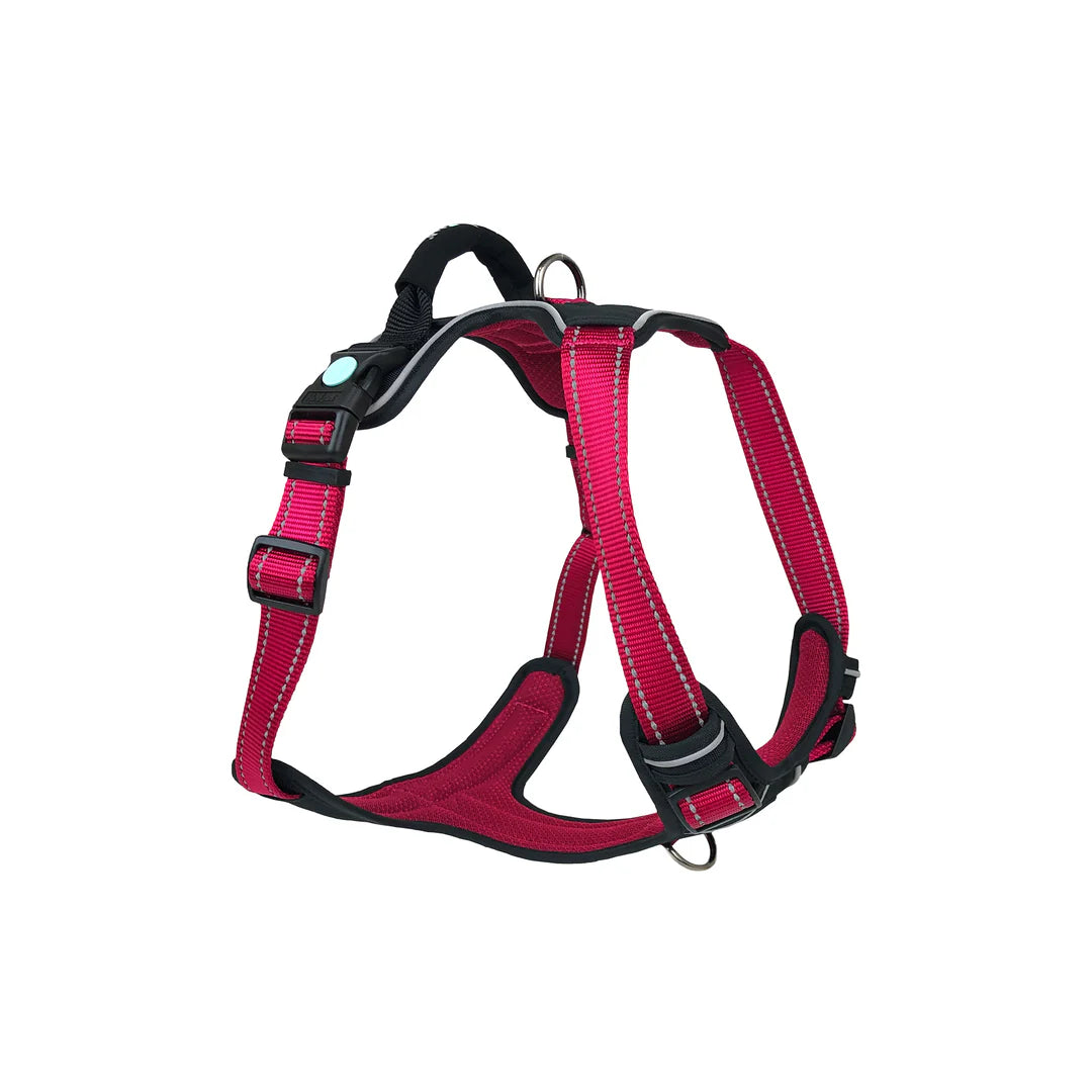 Huskimo Harness Ultimate
