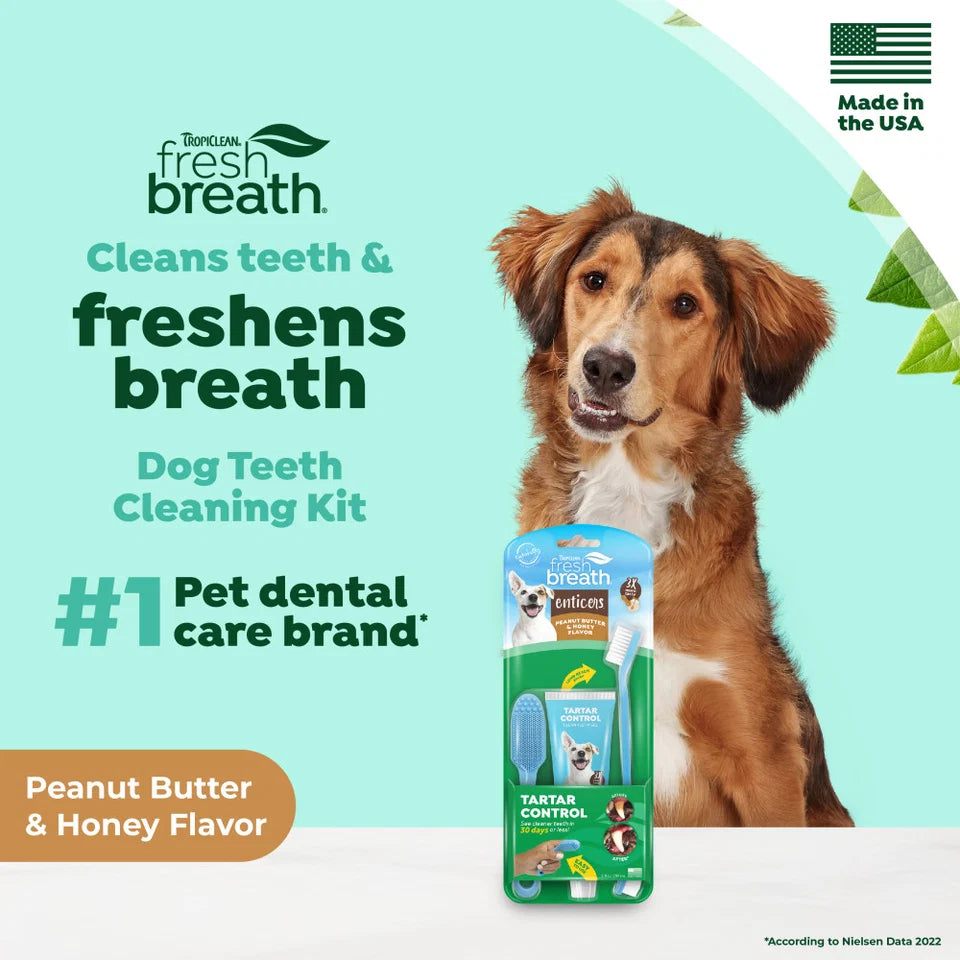 Tropiclean Fresh Breath Enticers Peanut Butter & Honey Oral Care Kit